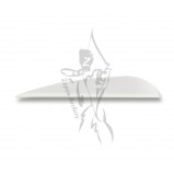 AAE Arizona Vanes EP-23 