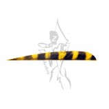 Trueflight Feathers 5" Parabolic RW Barred