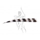Trueflight Feathers 5" Shield RW Barred