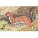 JVD Animal Face Ermine