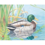 JVD Animal Face Duck