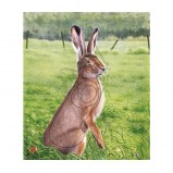 JVD Animal Face Hare