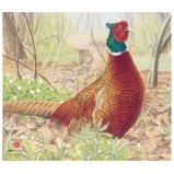 JVD Animal Face Pheasant