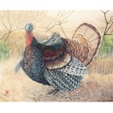 JVD Animal Face Turkey