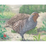 JVD Animal Face Partridge
