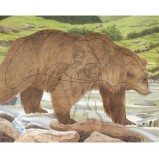 JVD Animal Face Bear