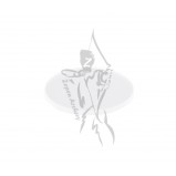 Sure-Loc Scope/Lens Falcon 