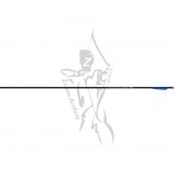 Easton Arrow Points Loose Apollo Fletched