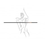 Easton Shaft XX75 Tribute Easton Shaft XX75 Tribute