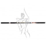 Easton Arrow Aftermath