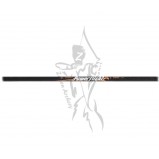Easton Arrow PowerFlight
