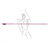 Victory Arrow VForce 245 Fletched Venus