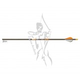 Gold Tip Arrow Fletched Kinetic Hunter with 2" Vanes