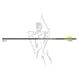 Gold Tip Arrow Fletched Velocity Pro with 2" Vanes