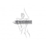 Gold Tip Points Series 22 