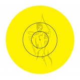 JVD Replacement Sticker 160 mm Fita 80