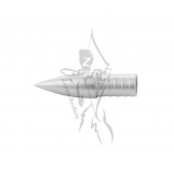 Gold Tip Points Accu Series 22 