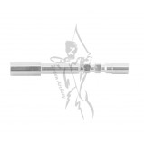 Gold Tip Insert .166