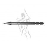 Carbon Express Pin Pointss .166 