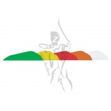 Easton Bully Boattail Vanes 2" 