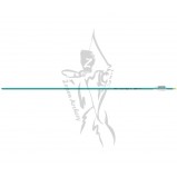 Easton Arrow Genesis Teal Easton Arrow Genesis Teal