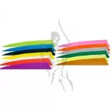 Gateway Feather 3" Shield RW 