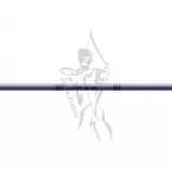 Easton Arrow XX75 Jazz Purple Purple