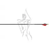 Easton Arrow XX75 Gamegetter 2" Bully Vanes