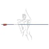 Victory Arrow Fletched Ares Blue