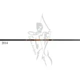 Gold Tip Arrow Hunter
