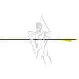 Gold Tip Arrow Youth Lightning 28" with 2.5" Vanes