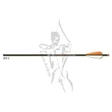 Gold Tip Arrow Velocity with 2" Vanes