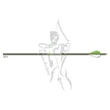 Gold Tip Arrow Fletched XT Hunter 300