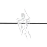Gold Tip Arrow Fletched Warrior