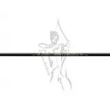 Beman Shaft ICS Hunter Classic 