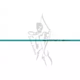 Easton Shaft Genesis Teal