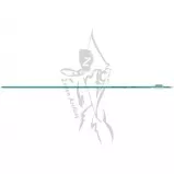 Easton Arrow Genesis Teal