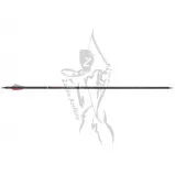 Victory Shaft Carbon V-TAC 23 Sport 